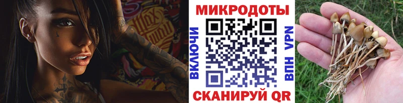 Купить закладки  Валуйки  Галлюциногенные грибы мухоморы 