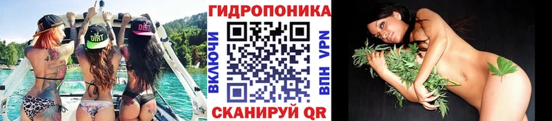 Купить  Валуйки  Конопля OG Kush 